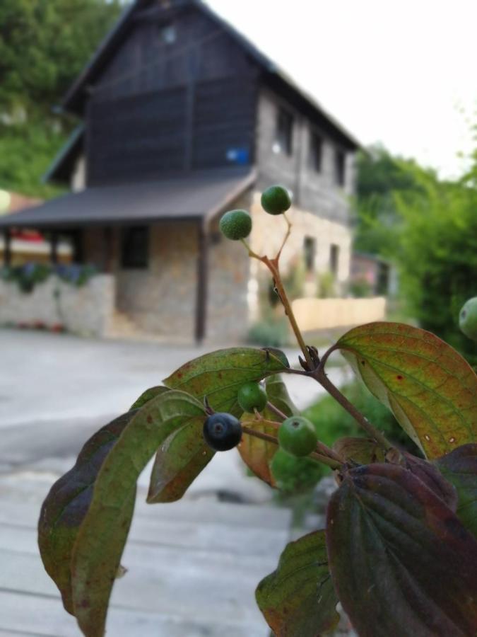 House Marijan Apartman Korana Kültér fotó